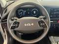 Kia Niro EV*ACC*Cam*dig.Cockpit*CarPlay*SHZ*GARANTIE Weiß - thumbnail 11