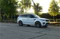 Land Rover Range Rover Sport 4.4 Aut. SDV8 Autobiography Vogue GRIJS KENTEKEN L Weiß - thumbnail 23