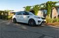 Land Rover Range Rover Sport 4.4 Aut. SDV8 Autobiography Vogue GRIJS KENTEKEN L Weiß - thumbnail 22
