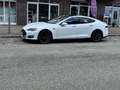 Tesla Model S Free Supercharging SC01 CCS Autopilot Premium Pake Weiß - thumbnail 1