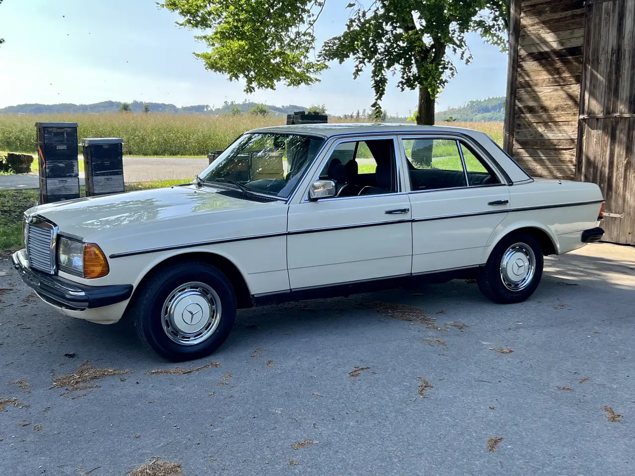 Mercedes-Benz 250, foto 1
