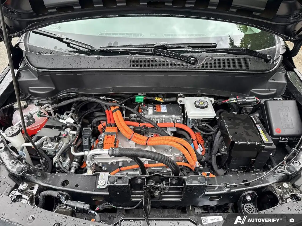Chevrolet Bolt fotografie Chevrolet Bolt