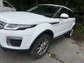 Land Rover Range Rover Evoque 2.0TD4 Pure 4WD Aut. 150 - thumbnail 3