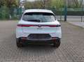 Alfa Romeo Tonale Veloce PHEV #TechPaket #WinterPaket Weiß - thumbnail 6