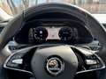 Skoda Superb Kombi 2,0 TDI Style DSG Assistenzpaket Grau - thumbnail 7