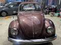 Volkswagen Käfer Käfer 1200 TÜV/AU 02/2027 H Kennzeichen Violett - thumbnail 1