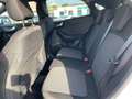 Ford Puma ST-Line 1.0 *PDC*LRH*SHZ*Tempo*Navi*DAB* Weiß - thumbnail 7