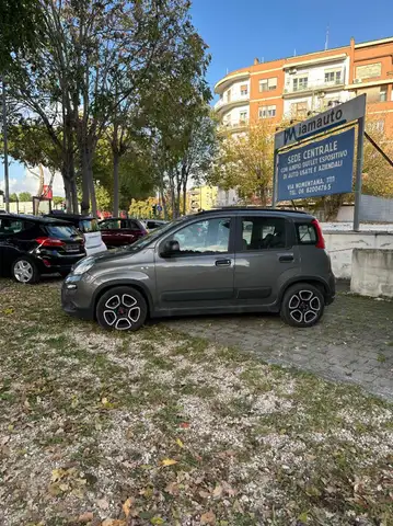 Fiat Panda view 6