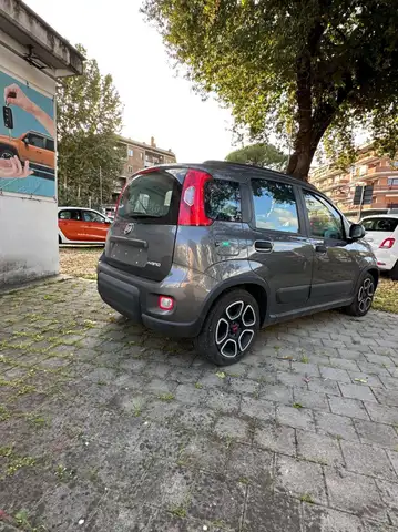 Fiat Panda view 4
