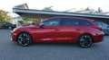 CUPRA Leon Sportstourer 1.4 e-Hybrid !! Keyless !! SEAT !! Rot - thumbnail 4