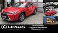Lexus UX 300e UX300e Komfort Plus *Allwetterreifen* Roşu - thumbnail 1