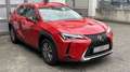 Lexus UX 300e UX300e Komfort Plus *Allwetterreifen* Roşu - thumbnail 14