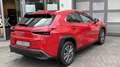 Lexus UX 300e UX300e Komfort Plus *Allwetterreifen* Rouge - thumbnail 4