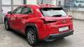 Lexus UX 300e UX300e Komfort Plus *Allwetterreifen* Rouge - thumbnail 5