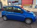Fiat Panda 1.0 Pandina Icon 70cv hybrid Nessun Vincolo Blu/Azzurro - thumbnail 3