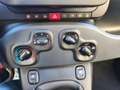 Fiat Panda 1.0 Pandina Icon 70cv hybrid Nessun Vincolo Blu/Azzurro - thumbnail 10