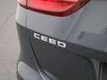 Kia Ceed SW / cee'd SW Sportswagon 1.5 T-GDi DynamicLine | Climate Contro Grijs - thumbnail 30