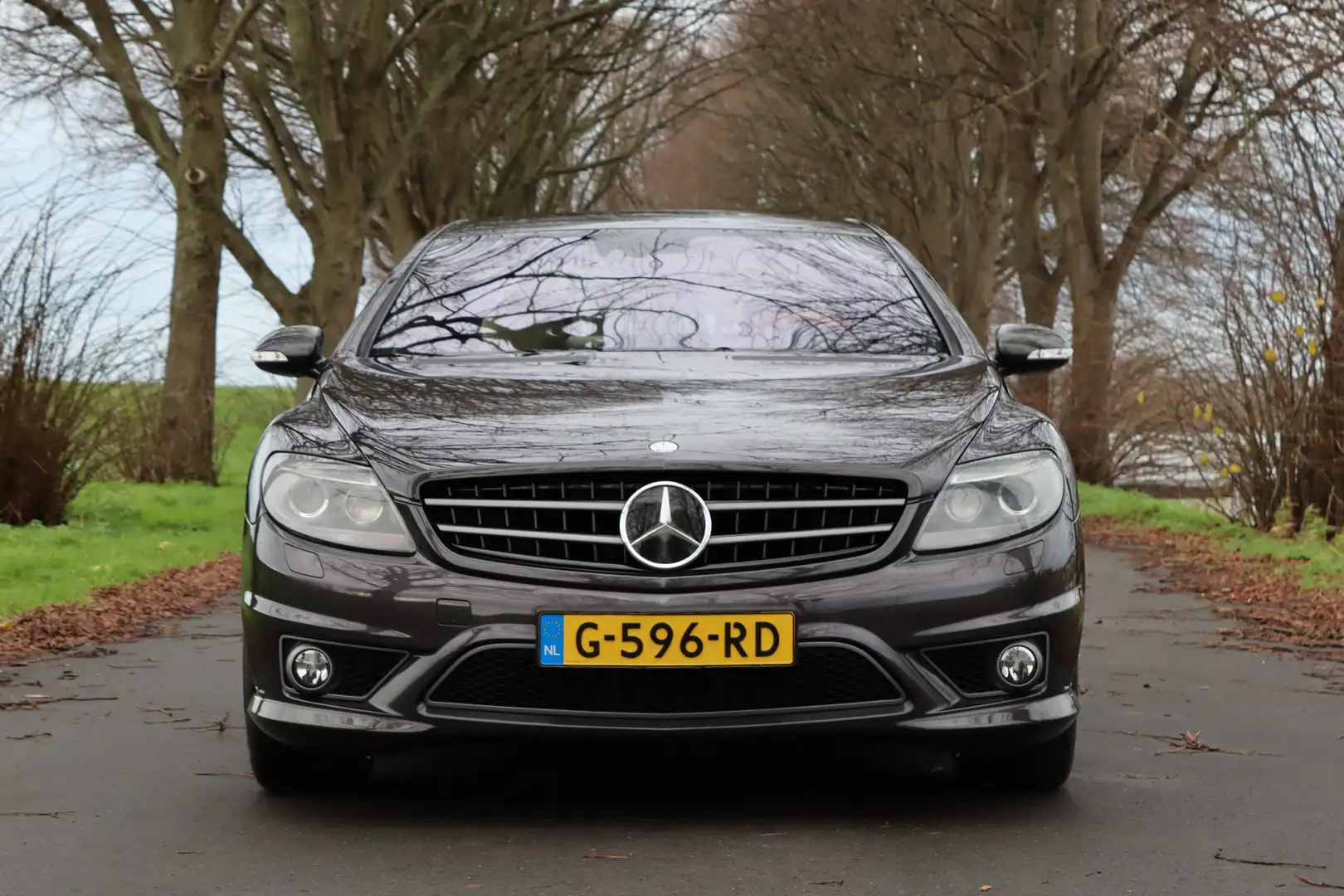 Mercedes-Benz CL 65 AMG 6.0 V12 Biturbo Gris - 2