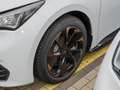 CUPRA Born 170 kW Edition Dynamic/NAVI/SHZ/RFK Blanc - thumbnail 13