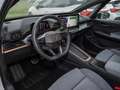 CUPRA Born 170 kW Edition Dynamic/NAVI/SHZ/RFK Blanc - thumbnail 6