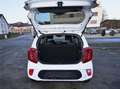 Kia Picanto Picanto  5-Türer 1.2 Dream-Team Edition Blanc - thumbnail 8