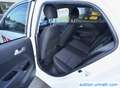 Kia Picanto Picanto  5-Türer 1.2 Dream-Team Edition Blanc - thumbnail 11