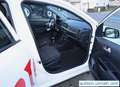 Kia Picanto Picanto  5-Türer 1.2 Dream-Team Edition Blanc - thumbnail 16