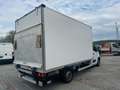 Renault Master L3 3,5t Koffer Ladebordwand *SHgpfl.+Klima+USB Weiß - thumbnail 7