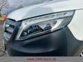 Mercedes-Benz VITO 116 LANG/LED/ILS/AHK/TEMP/KLIMA/SHZG/PTS Bianco - thumbnail 18