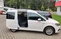 Volkswagen Caddy Caddy Kombi Comfortline 1,0 TSI Comfortline Weiß - thumbnail 3
