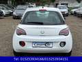 Opel Adam 1,4 Jam,KLIMA,SHZ,TEMPOMAT,PANORAMADACH,ALU Weiß - thumbnail 6
