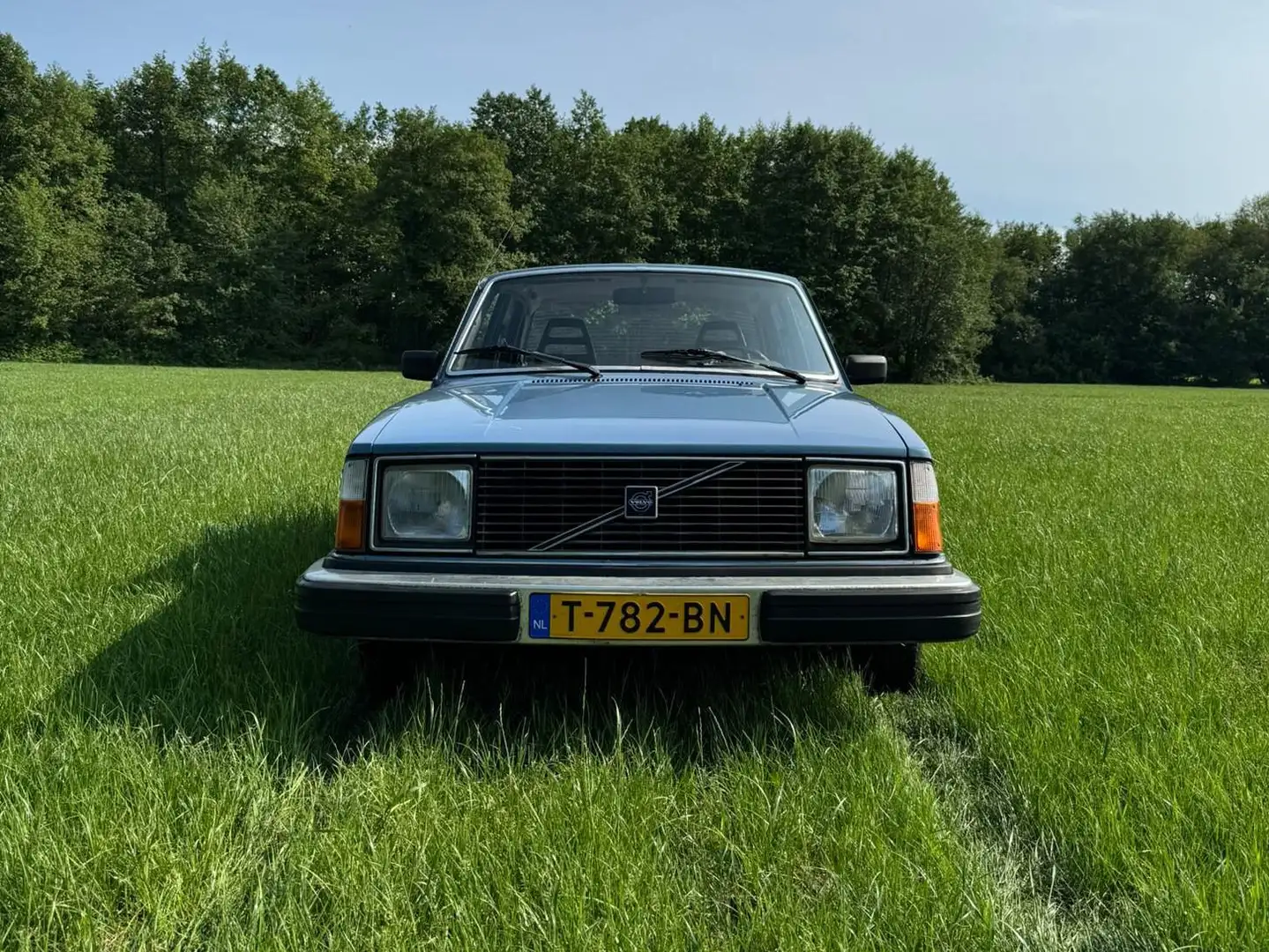 Volvo 244 244 D6 Bleu - 2