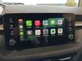 Skoda Fabia 1,0TSI 130Jahre SHZ Kamera Alu AppConnect Grau - thumbnail 25