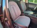 SEAT Leon 1.0 TSI Style OPF Grau - thumbnail 22