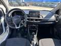 Kia Picanto 1.0 12V 5 porte Urban - thumbnail 10