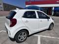 Kia Picanto 1.0 12V 5 porte Urban - thumbnail 4