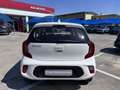 Kia Picanto 1.0 12V 5 porte Urban - thumbnail 3