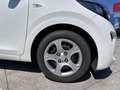 Kia Picanto 1.0 12V 5 porte Urban - thumbnail 5