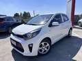 Kia Picanto 1.0 12V 5 porte Urban - thumbnail 1