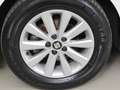SEAT Ibiza Austria Edition Weiß - thumbnail 11