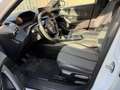 Peugeot 2008 2008 PureTech 100 S&S Allure Bianco - thumbnail 8