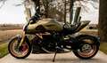 Ducati Diavel 1260 LAMBORGHINI - LIMITED EDITION NR. 431 OF 630 Vert - thumbnail 2