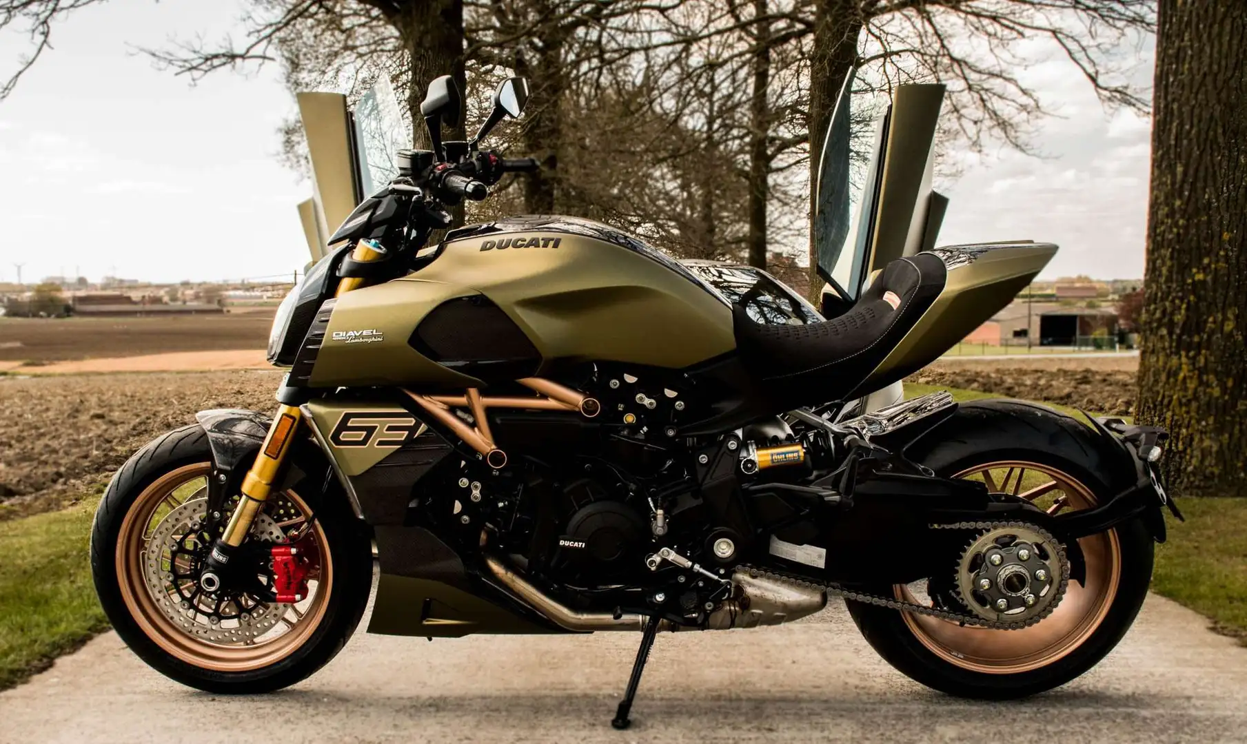 Ducati Diavel 1260 LAMBORGHINI - LIMITED EDITION NR. 431 OF 630 Vert - 2