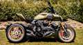 Ducati Diavel 1260 LAMBORGHINI - LIMITED EDITION NR. 431 OF 630 Vert - thumbnail 6