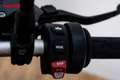 BMW R 1250 R - thumbnail 20