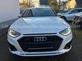 Audi A4 Avant 40 TDI Quattro*S Line*AHK*ACC*Standheiz Weiß - thumbnail 6