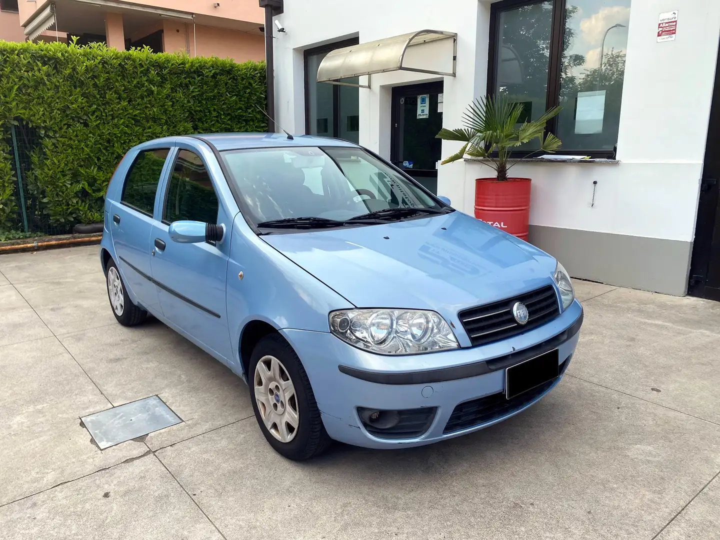 Fiat Punto Punto 5p 1.2 60cv Active Blu/Azzurro - 1