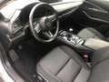 Mazda CX-30 2.0L Skyactiv-G 150 CV M Hybrid 2WD Executive Gris - thumbnail 7