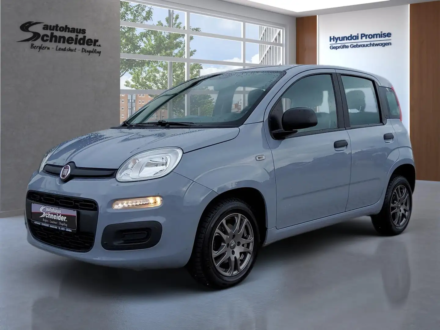Fiat Panda 1.2 5-Gang EASY  KLIMA/RADIO/SCHECKHEFT Gris - 1