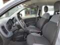 Fiat Panda 1.2 5-Gang EASY  KLIMA/RADIO/SCHECKHEFT Gris - thumbnail 7